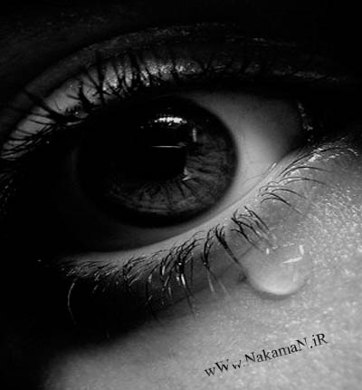 غمگین گریه ها چشم مجنون