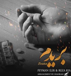 دانلود آهنگ بریدم از پیمان ایلر و رضا کیا