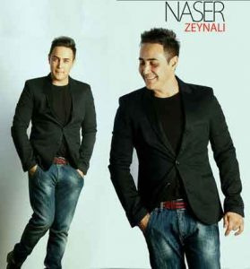 دانلود آهنگ یک سال گذشت از ناصر زینعلی