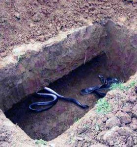 دانلود کلیپ تکان دهنده جایگاه پس از مرگ