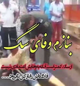 دانلود کلیپ غمگین وفاداری سگ بامرام (آهنگ تی بلارم) دانلود کلیپ غمگین وفاداری سگ بامرام (آهنگ تی بلارم)