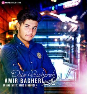 دانلود آهنگ دل بیچاره از امیر باقری