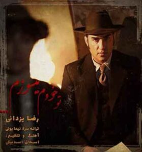 دانلود آهنگ تو خودم میسوزم ( آرزومو کشتی) از رضا یزدانی