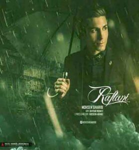 دانلود آهنگ رفتنی رفتنیه غصه نخور از محسن غریبی