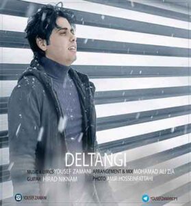 دانلود آهنگ دلتنگ این دلم توی هوای تو امشب پروانه میشم