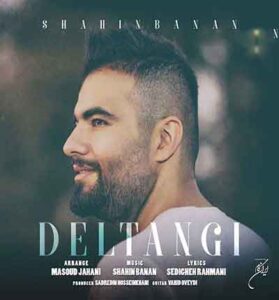 دانلود آهنگ دلتنگی (وسطای شب) از شاهین بنان