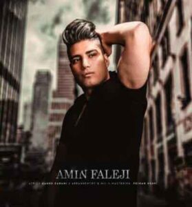 دانلود آهنگ مهره عشق از امین فالجی ⇐ شازاده ی قلبم خودی