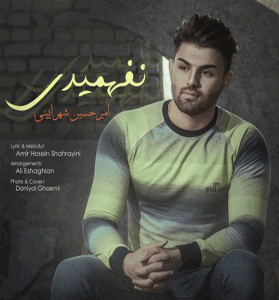 دانلود آهنگ چرا تو این دل خونه کردی از امیرحسین شهزآیینی