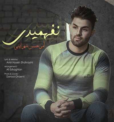 آهنگ چرا تو این دل خونه کردی از امیرحسین شهزآیینی