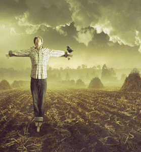 دانلود آهنگ یه کم برام گریه بکن حتی اگه بازی باشه از امیرعلی اکرمی