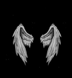 دانلود آهنگ محلی غصه نخور یاکریم یاکریم دوباره پر میگیری دانلود آهنگ محلی غصه نخور یاکریم یاکریم دوباره پر میگیری