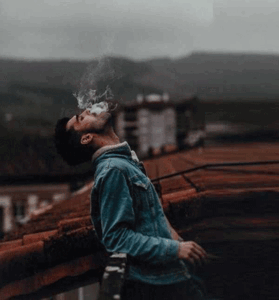 دانلود آهنگ ۲۴ ساعت دیگه به تو مهلت میدم از حمید فلاح