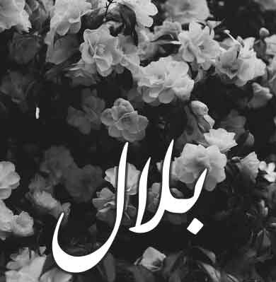 آهنگ بلال بلال از جواد شیرو