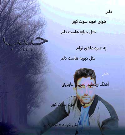 آهنگ دلم از حبیب عابدینی