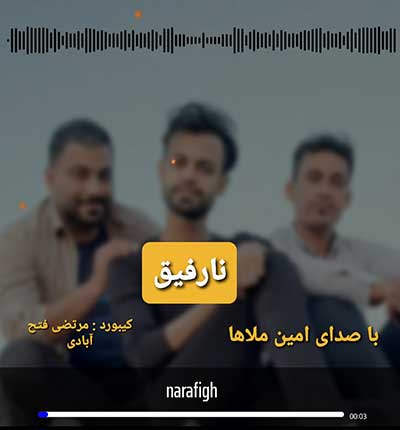 آهنگ نارفیق از امین ملاها