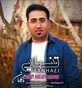 دانلود آهنگ دلم گرفته امشب (تنهایی) از امید مهدی زاده