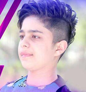 دانلود آهنگ افغانی الا دختر تو مادر داری یا نه از میلاد هراتی