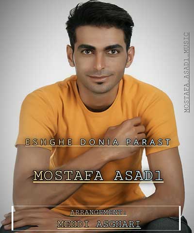 آهنگ عشق دنیا پرست از مصطفی اسدی
