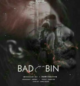 دانلود آهنگ بدبین از شاهین استار دانلود آهنگ بدبین از شاهین استار