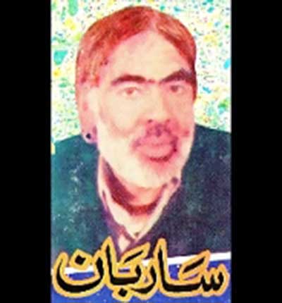 دانلود آهنگ ثریا چاره ام کن از ساربان