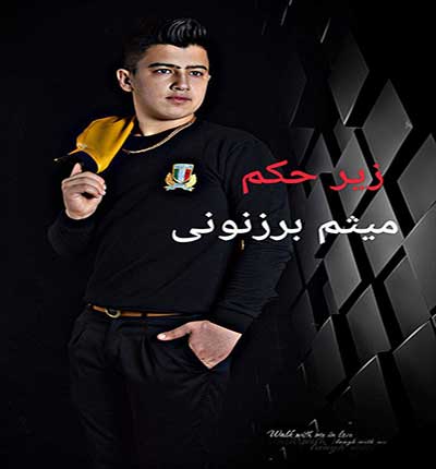 میثم-برزنونی
