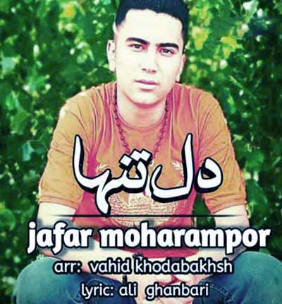 آهنگ ای دل تنها کسی نداری از جعفر محرم پور