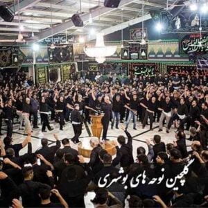 دانلود نوحه های بوشهری (گلچین بهترین مداحی ها بوشهری)