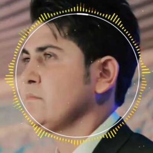 دانلود آهنگ صفر تا صد حسین عاشقی MP3