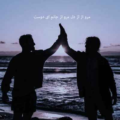 مرو از از دل مرو از جانم ای دوست