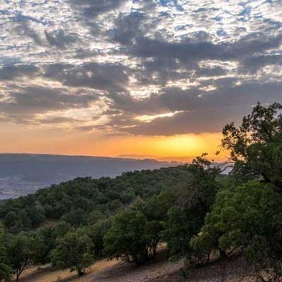 شروه لری احساسی از زینب حقیقت در وصف جوان ناکام