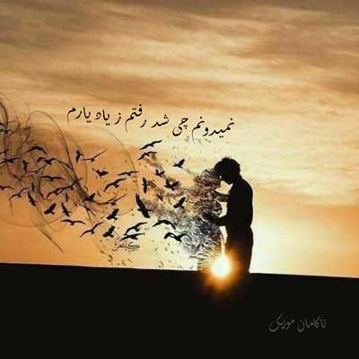 نمیدونم چی شد رفتم ز یاد یارم