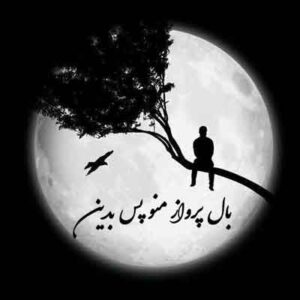 دانلود آهنگ بال پرواز منو پس بدین قلب با ناز منو پس بدین | MP3 دانلود آهنگ بال پرواز منو پس بدین قلب با ناز منو پس بدین | MP3