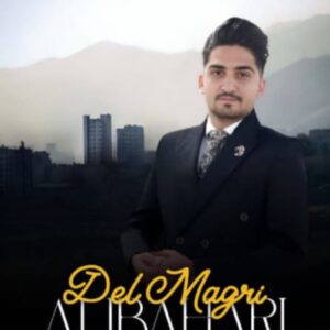 دانلود آهنگ دل مگری از علی بهاری
