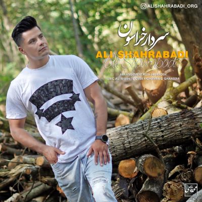 علی شهرآبادی