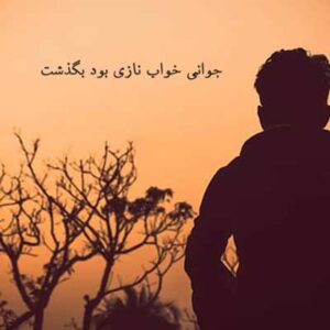 دانلود آهنگ جوانی خواب نازی بود بگذشت