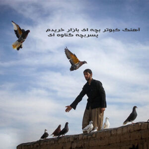 دانلود آهنگ کبوتر بچه ای بازار خریدم از پسربچه گناوه ای mp3 با کیفیت اصلی دانلود آهنگ کبوتر بچه ای بازار خریدم از پسربچه گناوه ای mp3 با کیفیت اصلی
