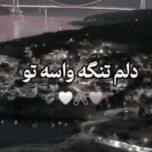 دانلود اهنگ دلم تنگه واسه تو مهربونم جان دلبر سایه سر احمد قاسمی | MP3