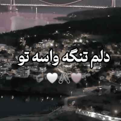 اهنگ دلم تنگه واسه تو مهربونم