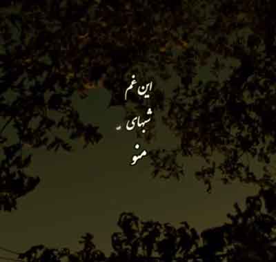 این دل تنهای منو این غم شبهای منو