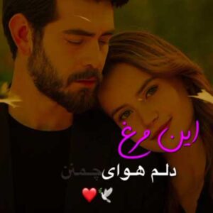 دانلود آهنگ این مرغ دلم هوای چمن دارد با صدای زن