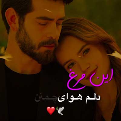 این مرغ دلم هوای چمن دارد