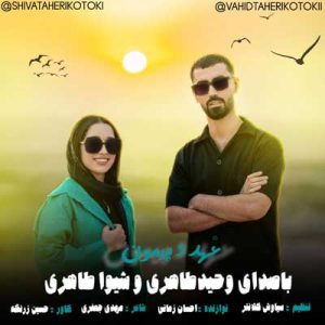 دانلود آهنگ بسی دردای مو جور طبیبن شیوا و وحید طاهری دانلود آهنگ بسی دردای مو جور طبیبن شیوا و وحید طاهری