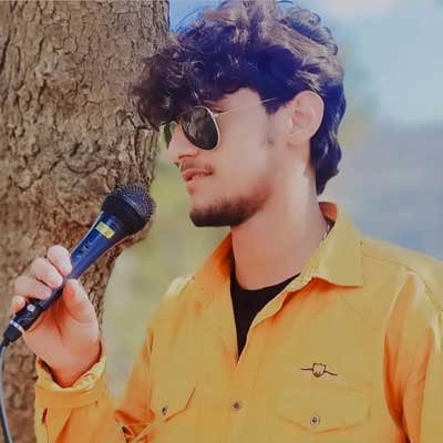 حمید سلیمانی قصر دل