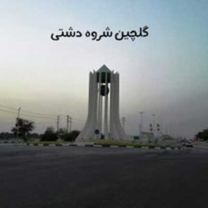 دانلود آهنگ های دشتی {گلچین شده و یکجا} mp3 صوتی