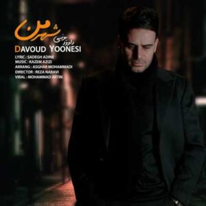 دانلود آهنگ بشنو واسه آخرین بار شهر بی خاطره و یار از داوود یونسی