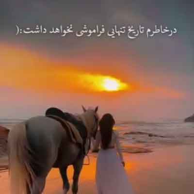 در خاطرم تاریخ تنهایی فراموشی