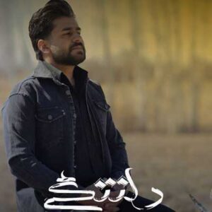 دانلود آهنگ دلتنگی از علیرضا خوئی دانلود آهنگ دلتنگی از علیرضا خوئی