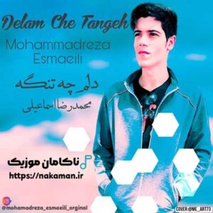 دانلود آهنگ دلم چه تنگه از محمدرضا اسماعیلی دانلود آهنگ دلم چه تنگه از محمدرضا اسماعیلی