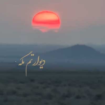 دیوارتم مگه هی مینویسی