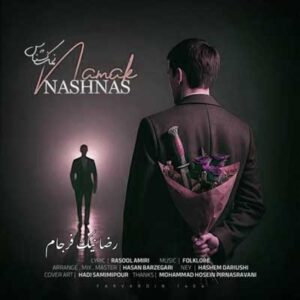 دانلود آهنگ یکی میخوام که اهل درد باشه رضا نیک فرجام دانلود آهنگ یکی میخوام که اهل درد باشه رضا نیک فرجام